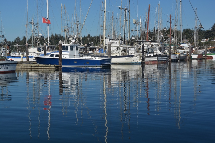 The Charleston Boat Basin and fishermen's wharf 